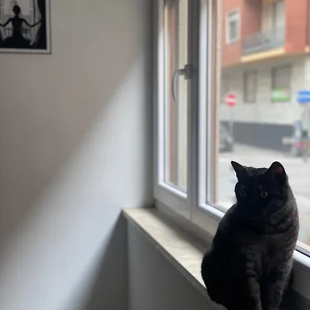 Appartamento Zona Valentino *